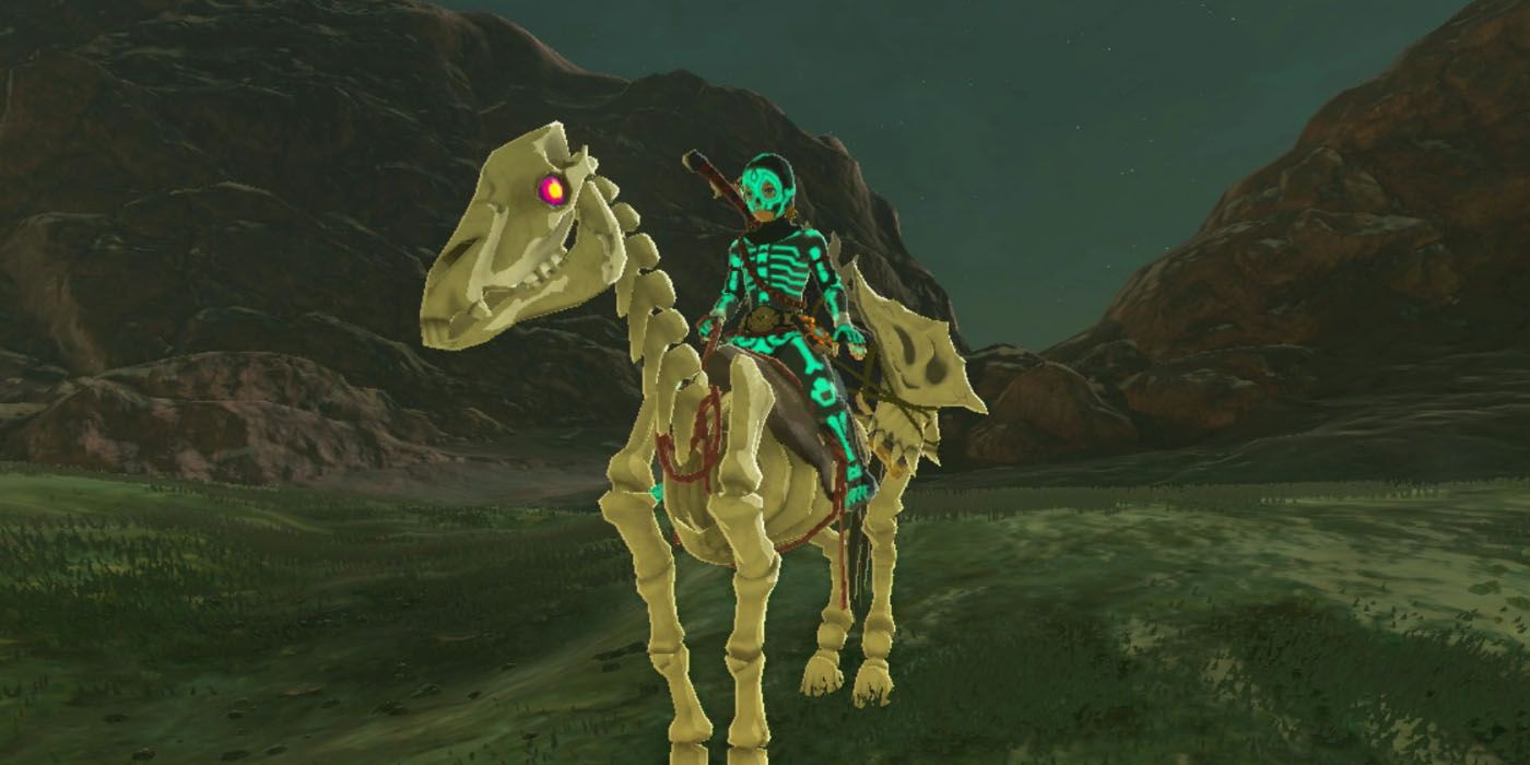 BOTW Fan's Good Deed For StalhorseLoving NPC Ends In SelfDestruction