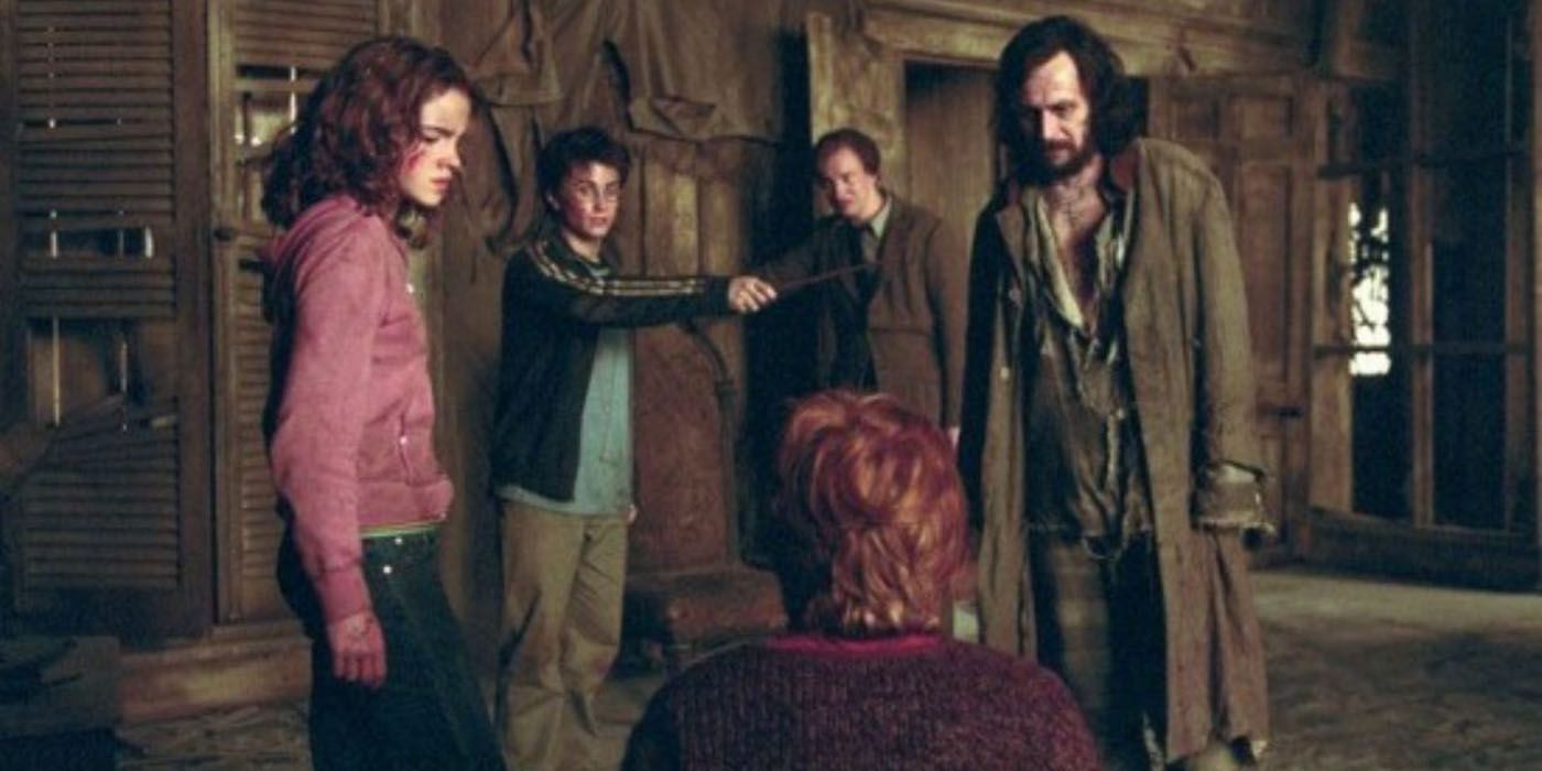 Harry Potter holding Sirius at bay in Prisoner of Azkaban
