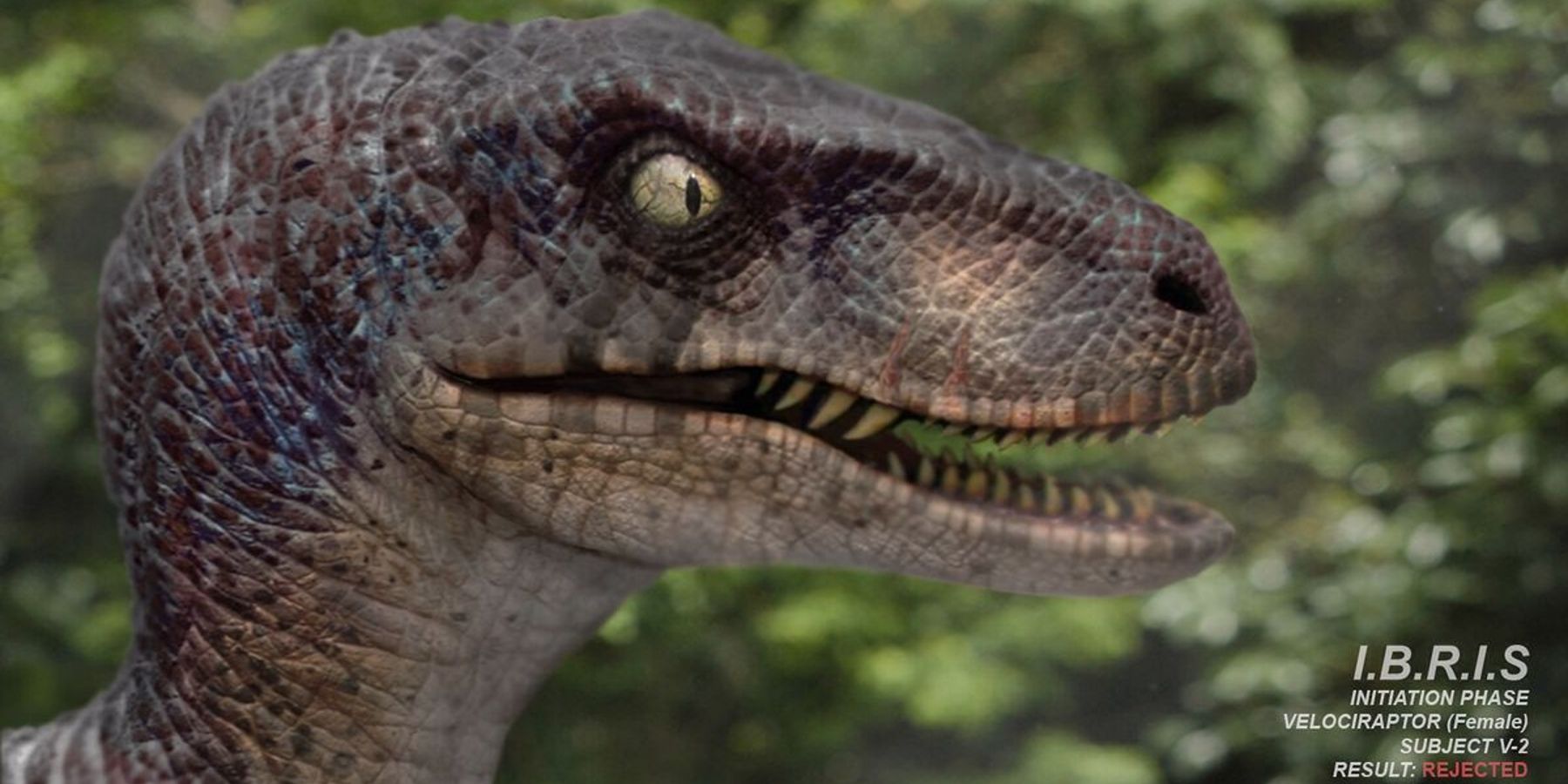 Official photo of Subject V2 Velociraptor for Jurassic World