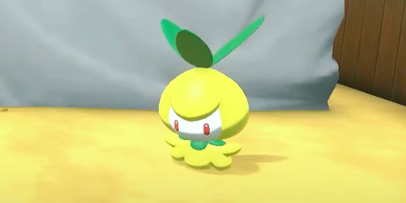 Where To Find Catch Petilil In Pokemon Legends Arceus