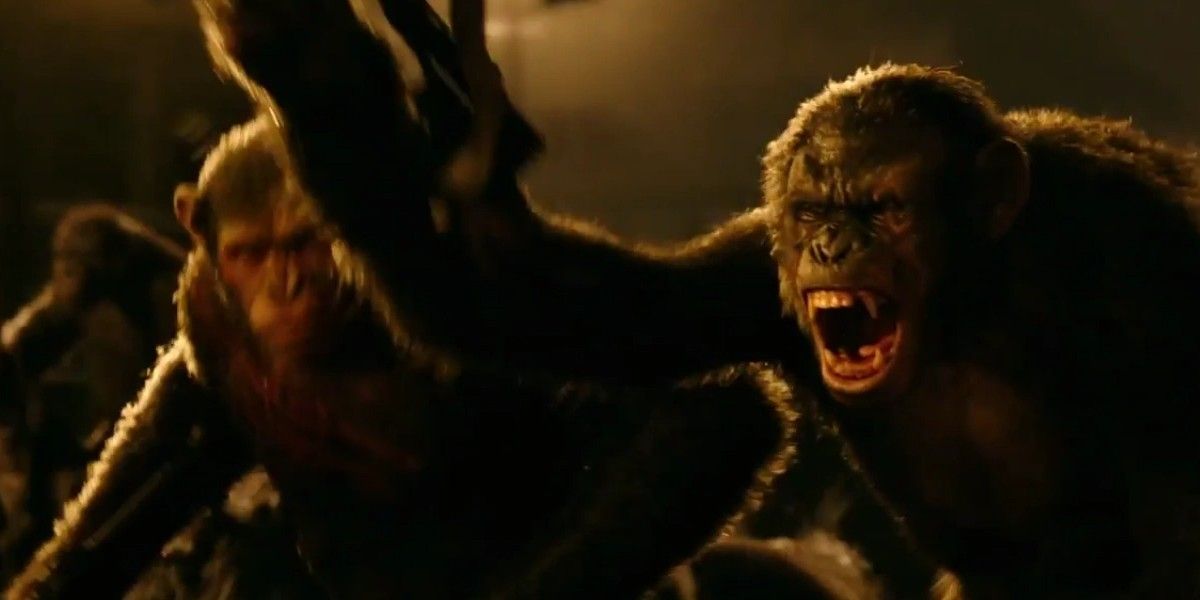 Koba and his Army in Dawn of the Planet of the Apes 1