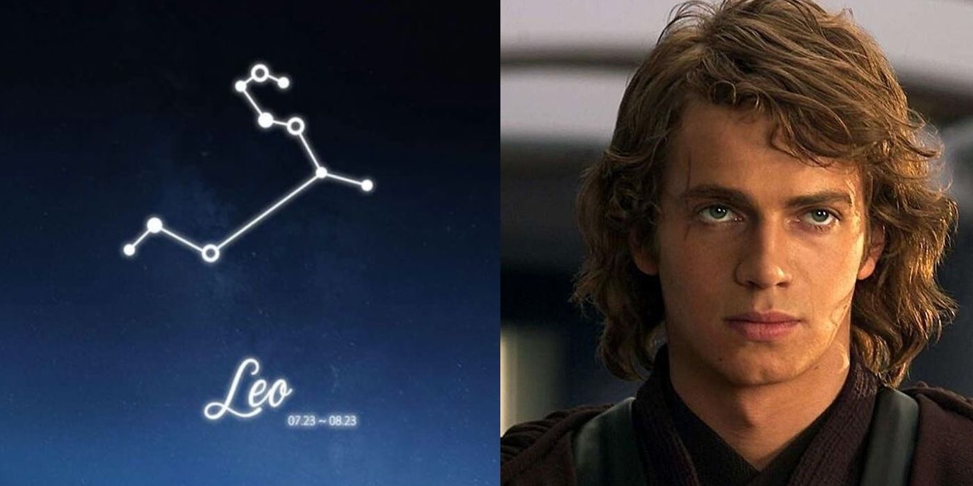 Star Wars Anakin Leo