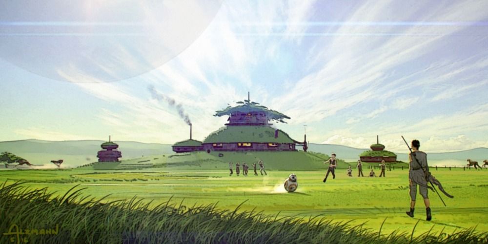 An image of Rey standing in a field in Star Wars