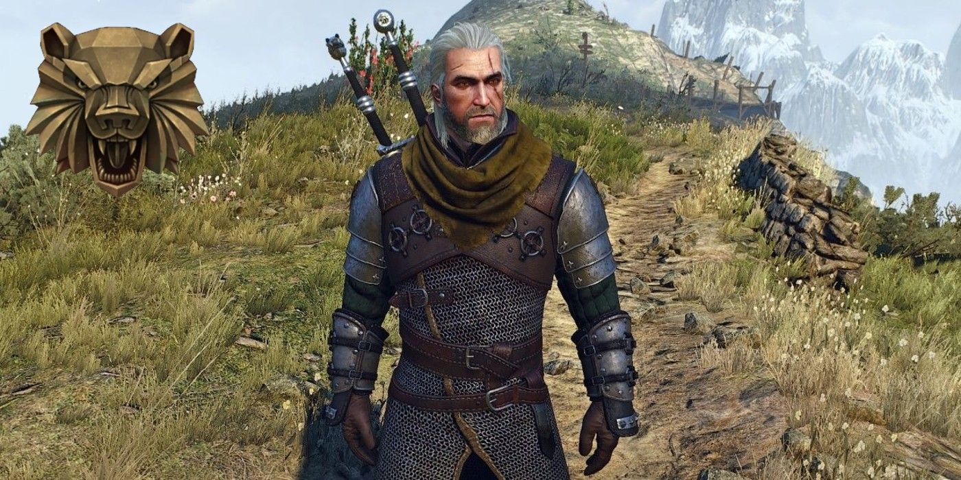 Every Witcher School Ranked Bear