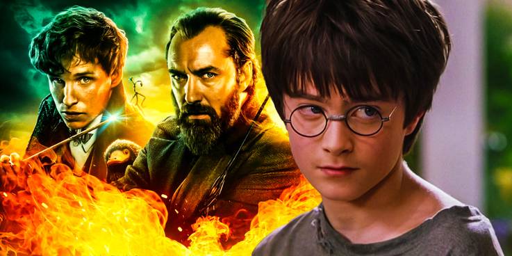 Harry Potter Fantastic Beasts Movie Order Release Chronological