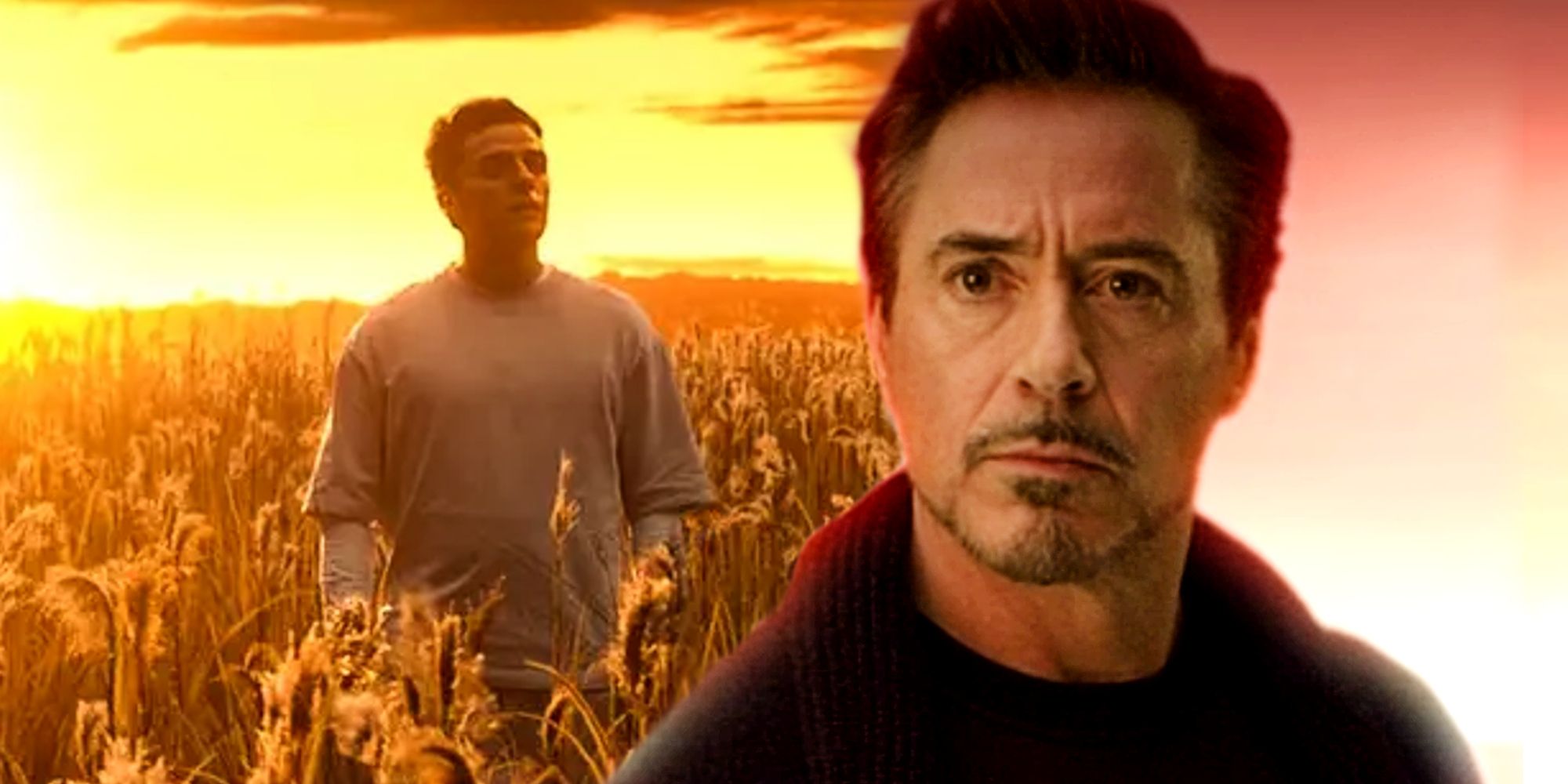 Iron Man in the Soul World and Moon Knight in the Field of Reeds