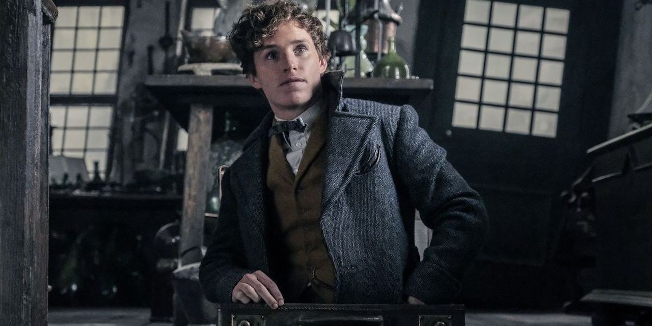 Newt Scamander entering his magic suitcase in Fantastic Beasts Cropped
