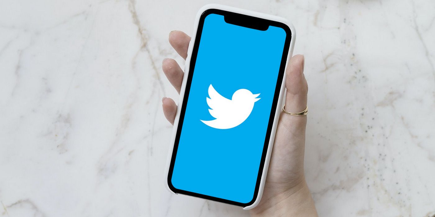 Twitter logo on iPhone 11