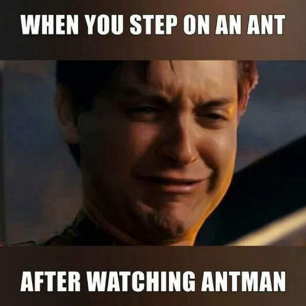 Ant Man meme 8