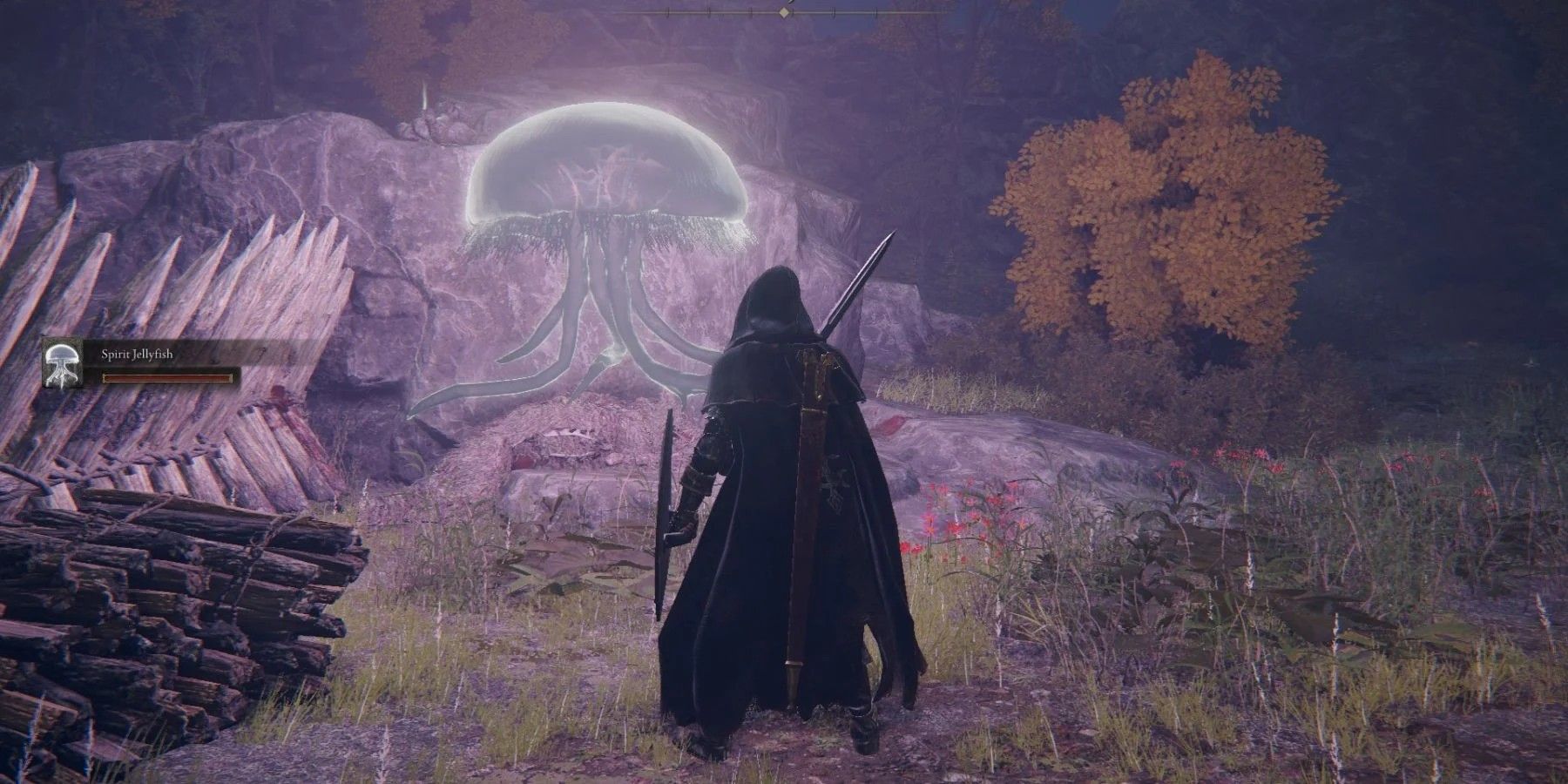 Elden Ring Fan Theory Says Jellyfish Hide Dark & Disturbing Secret