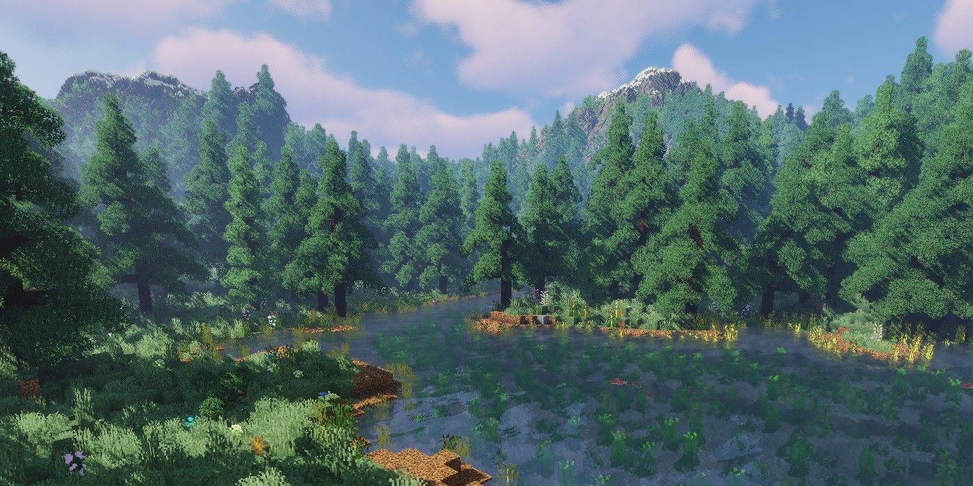 Minecraft Shader Pine Forest
