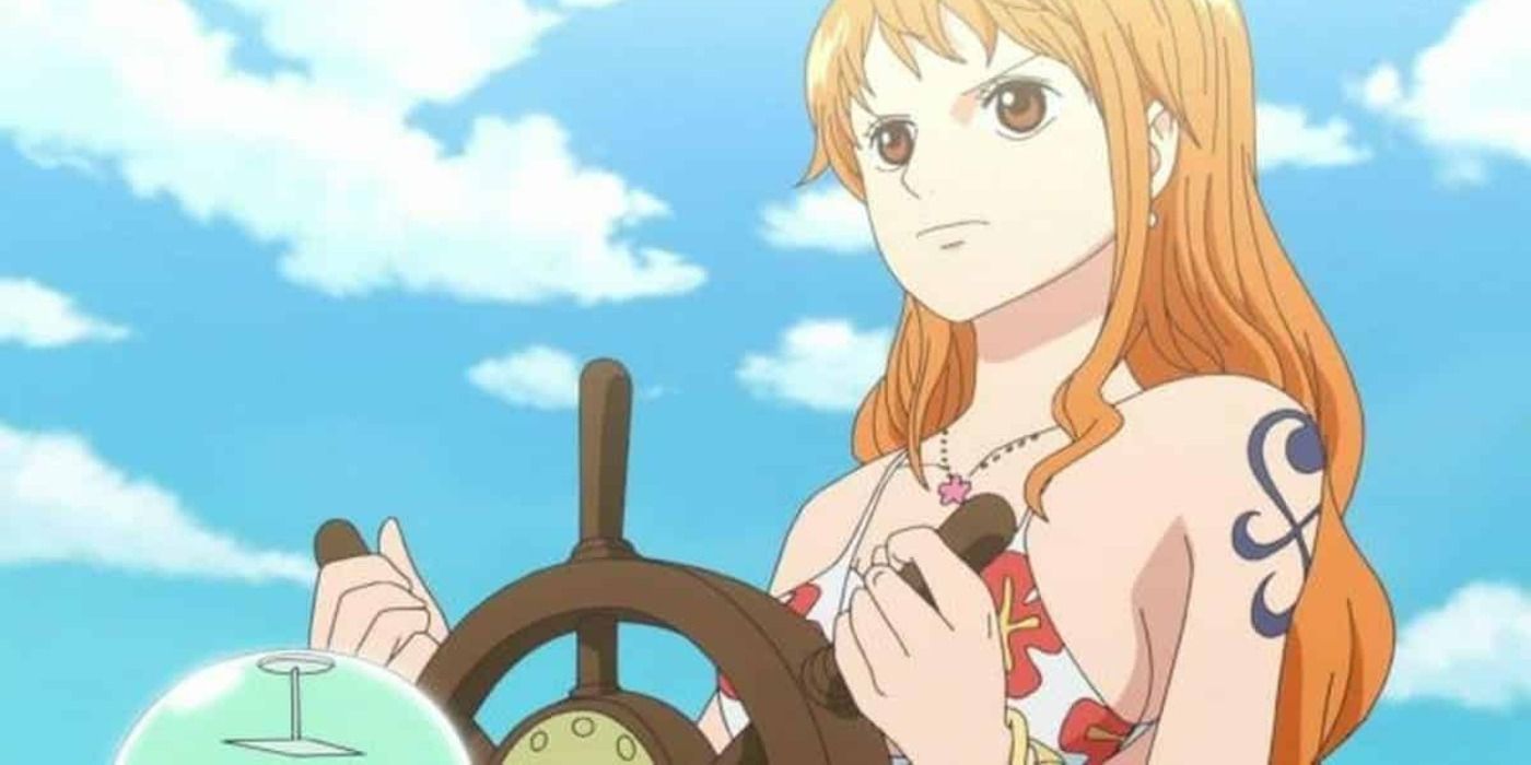 One Piece Nami Navigating Sunny