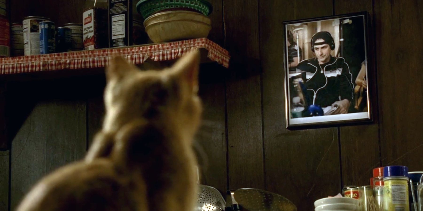 Sopranos: What The Finale’s Cat Really Means And How It Links To Christopher
