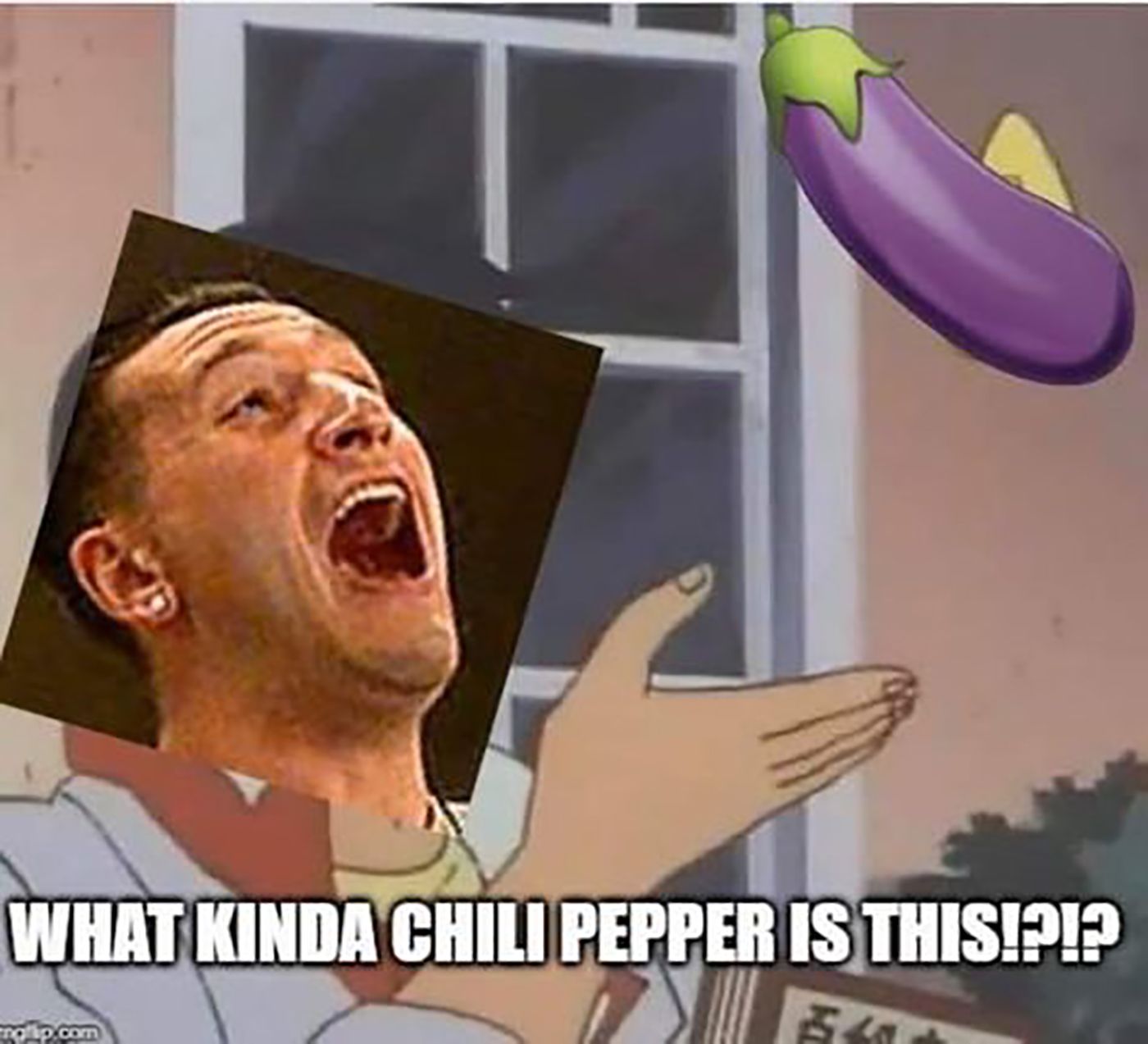 the circle meme joey eggplant