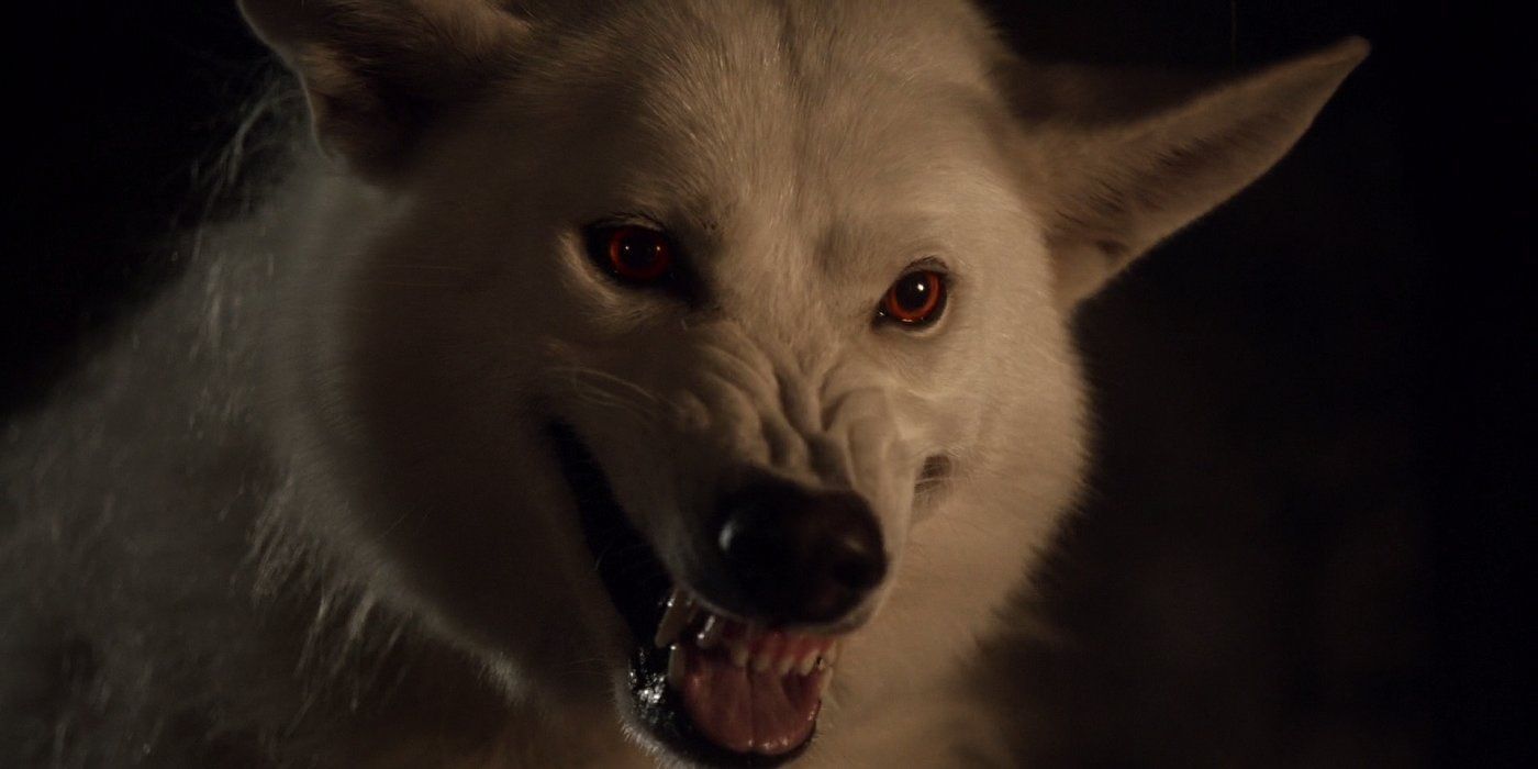 Game of Thrones What Happened to Ghost in the Battle of Winterfell