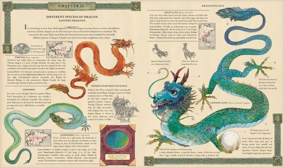 dragonology board game rules