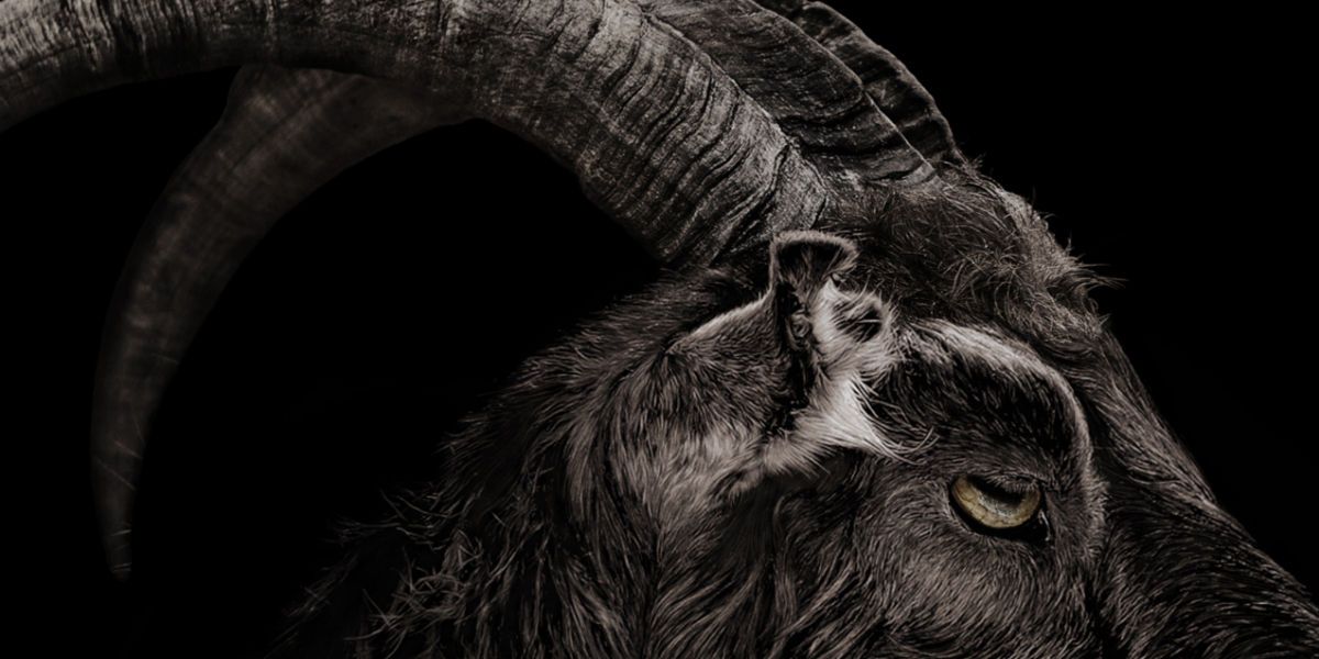 The Witch Trailer 2 Beware The Black Goat Screen Rant